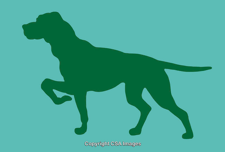 Silhouette of a Pawing Dog Design with a Green Background