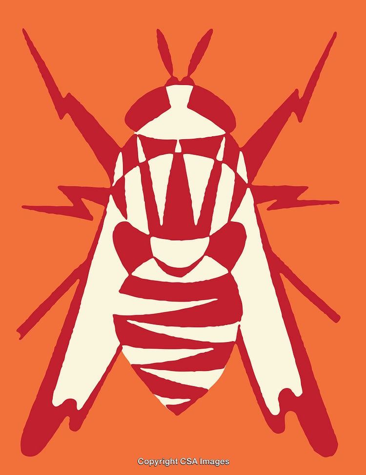 Colorful Stylized Insect Illustration with Abstract Geometric Design