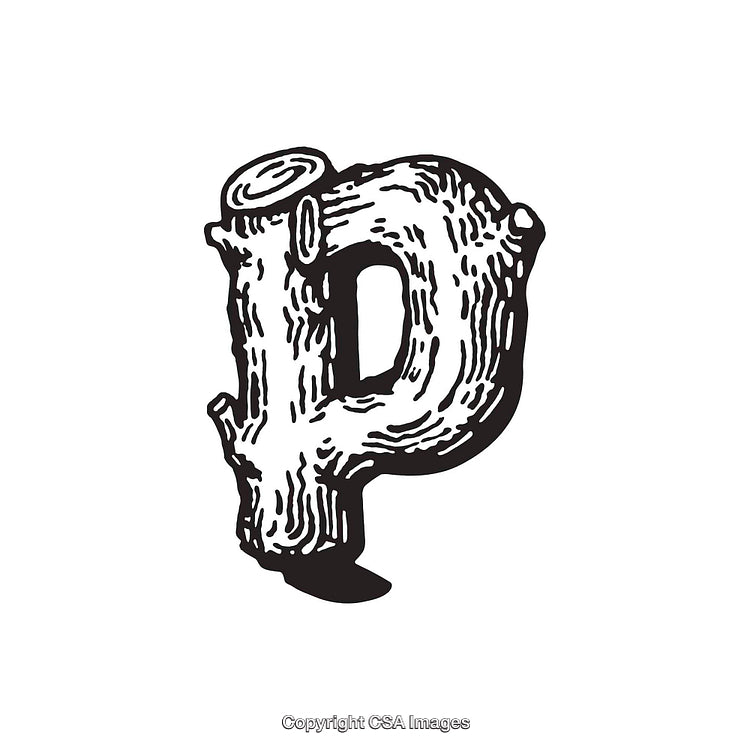 Rustic Wood Textured Letter P in Black and White