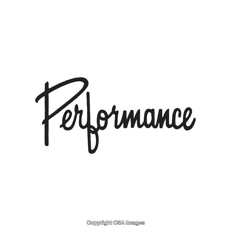 Performance Word Handwritten Calligraphy on Clean White Background in Bold Style