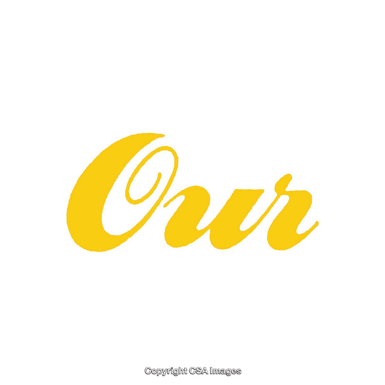 Yellow Script Word Typography on a White Background