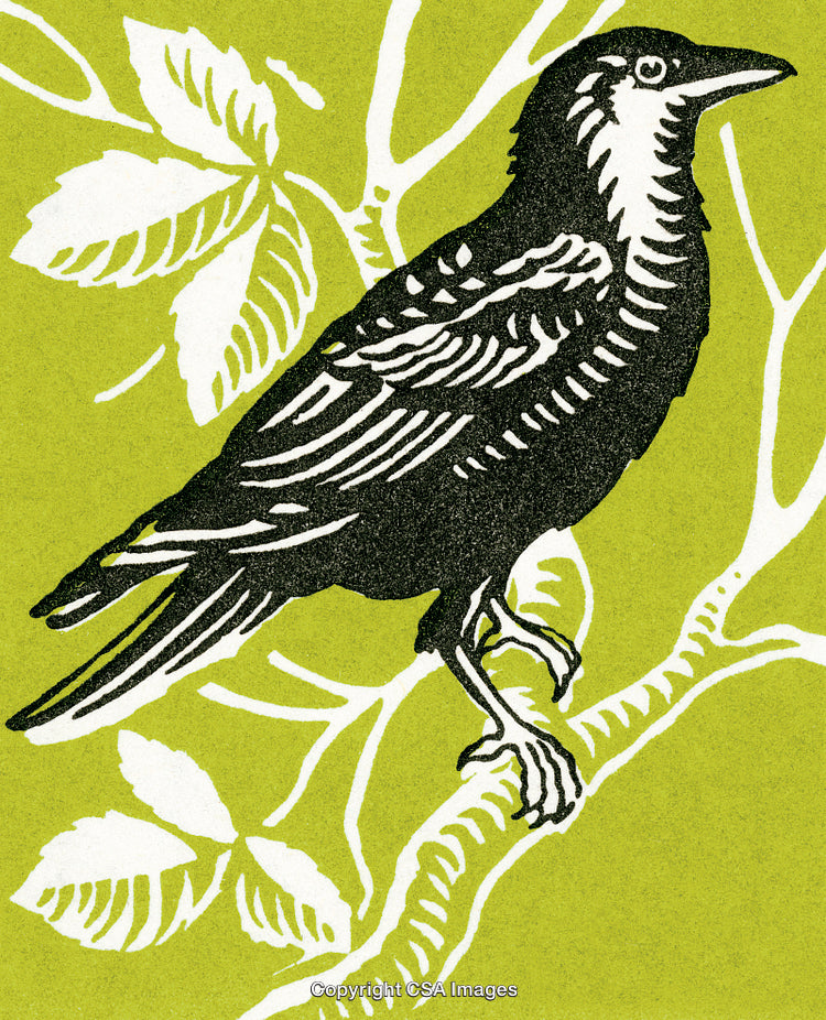 Intricate Blackbird Illustration on Green Background with White Leaf Patterns