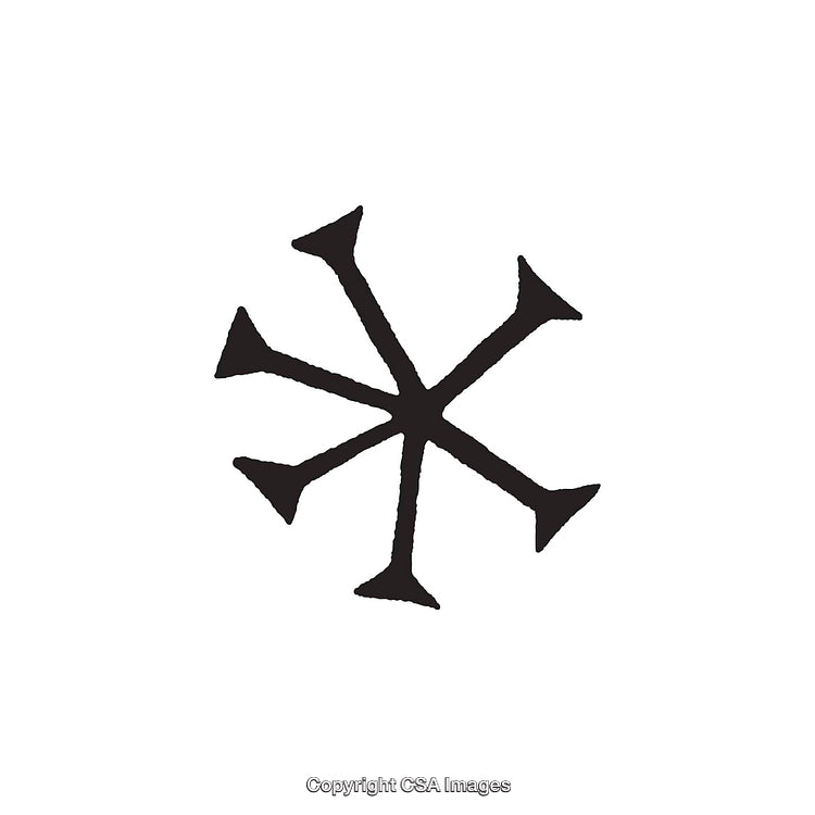 Black and White Abstract Star-Shaped Dingbat Symbol Design