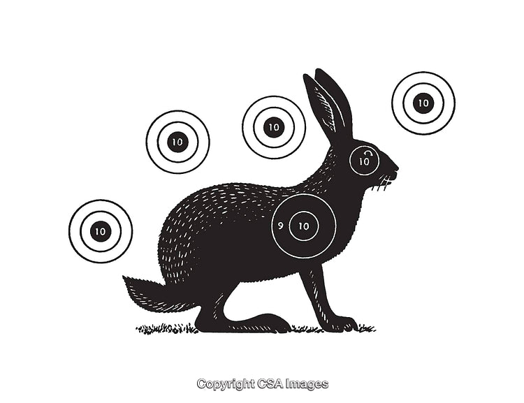 Black and White Line Art Rabbit Illustration with Shooting Targets