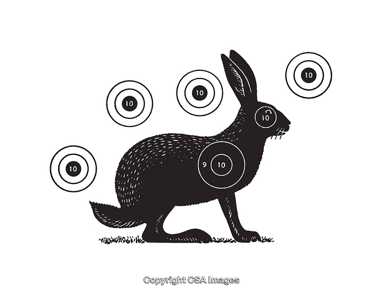 Black and White Line Art Rabbit Illustration with Shooting Targets