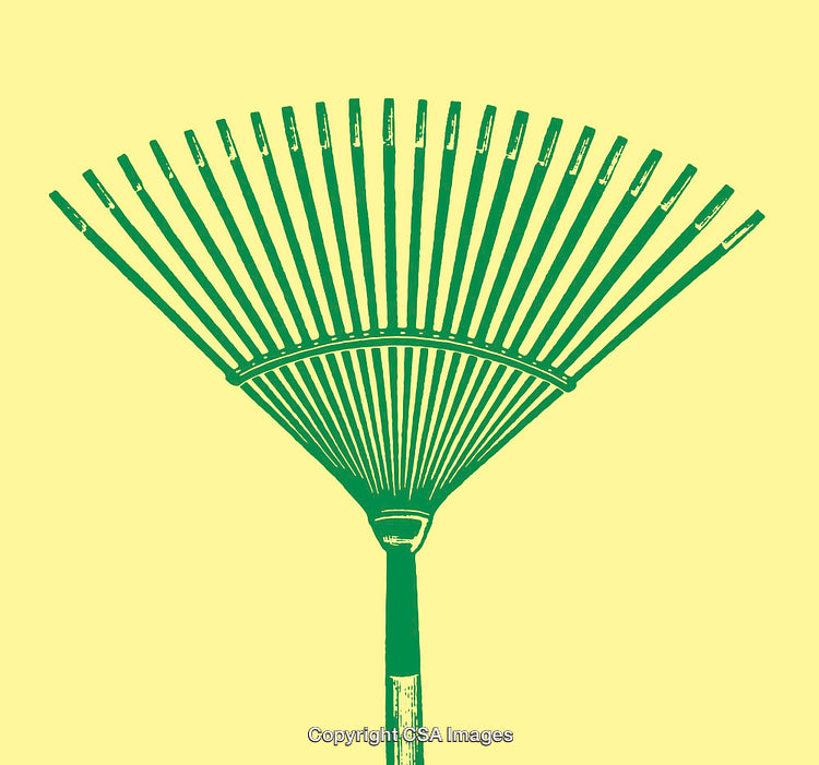 Colorful Green Rake Line Art Illustration on Yellow Background