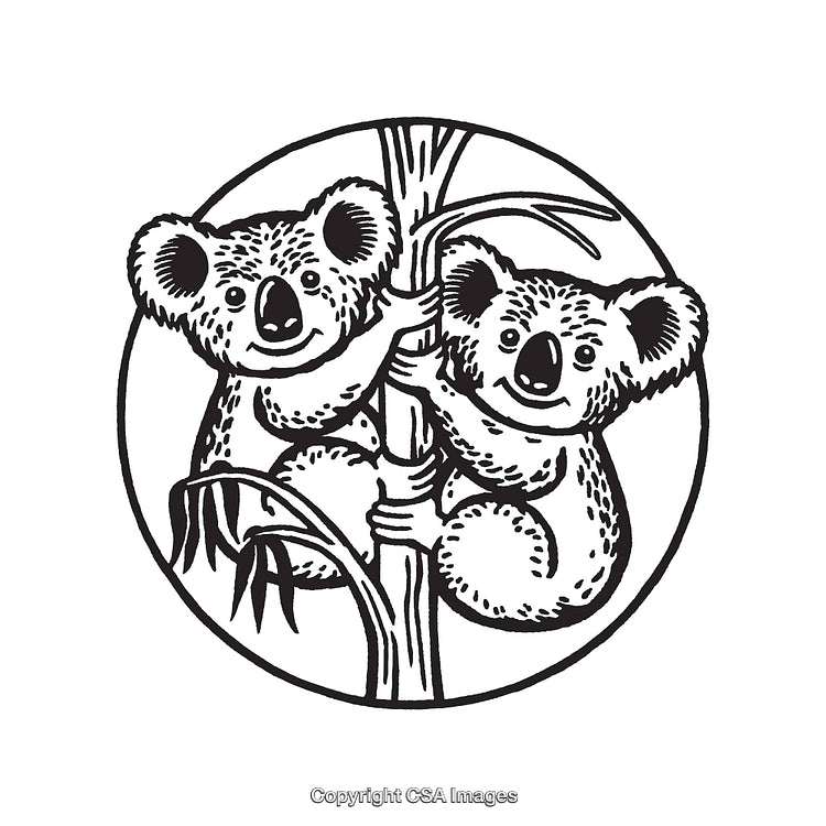 Two Koala Bears on a Tree in Black and White Line Art Style