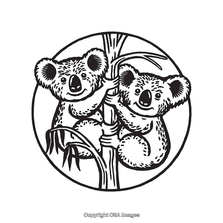 Two Koala Bears on a Tree in Black and White Line Art Style