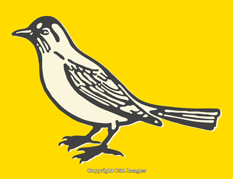 Monochromatic Bird Illustration on Vivid Yellow Background