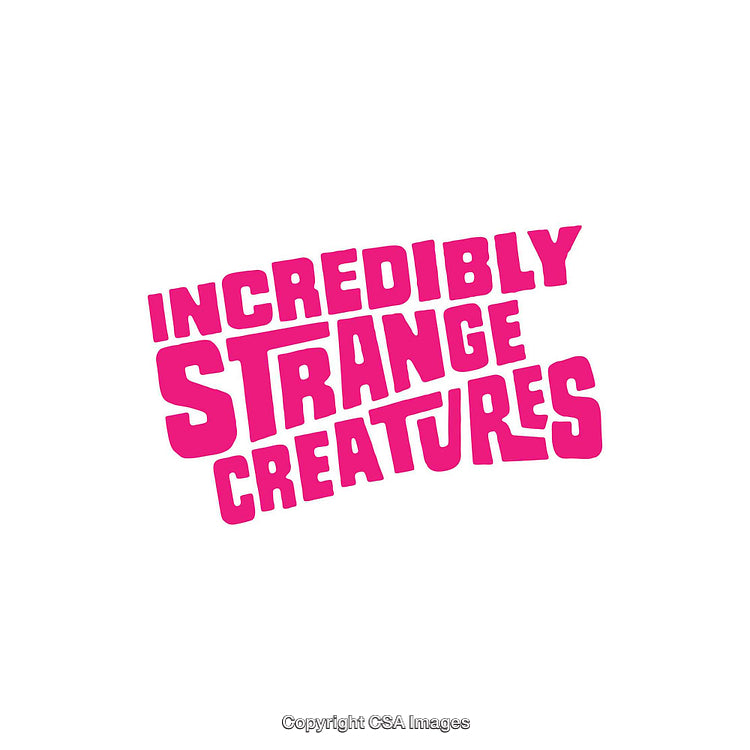 Bold Typography Art Featuring Fun and Intriguing Pink Text on White Background