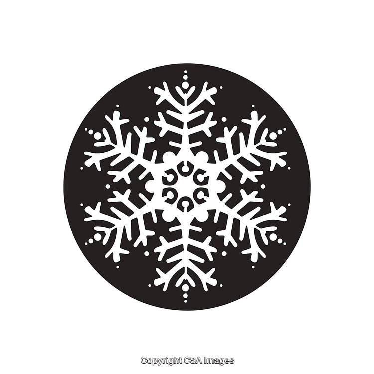 Black and White Snowflake Silhouette in Circular Design