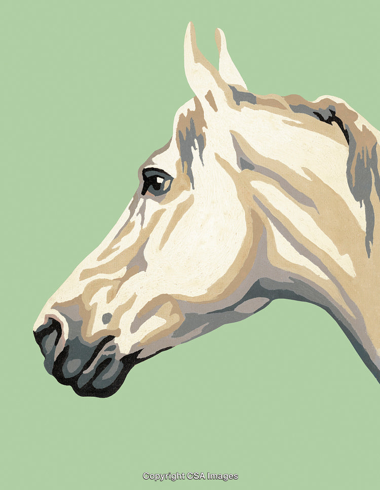 Illustration of a Horse's Profile Styled in Paint by Numbers