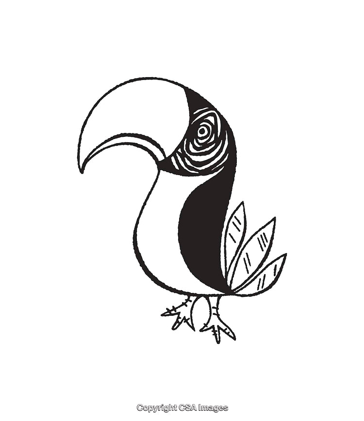 Black and White Line Art Illustration of a Toucan Bird Design