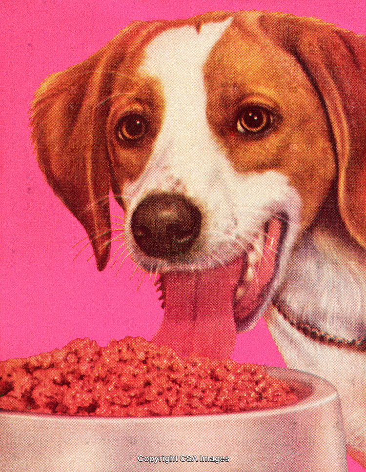 Illustration of a Happy Dog Enjoying Pet Food Against a Pink Background