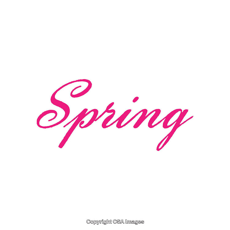Elegant Typography Design Featuring the Word 'Spring' in Stylish Pink Script