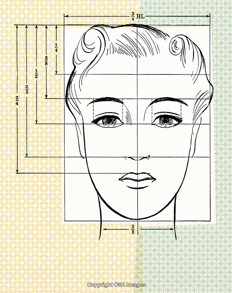 Illustrated Facial Proportions with Measurement Guides on Patterned Background
