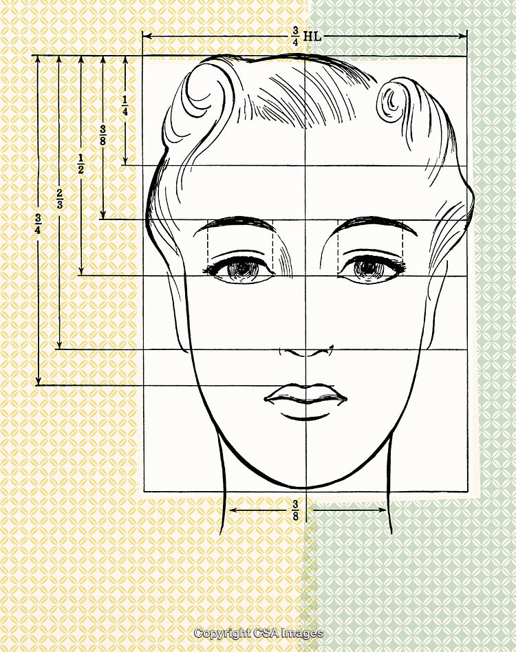 Illustrated Facial Proportions with Measurement Guides on Patterned Background