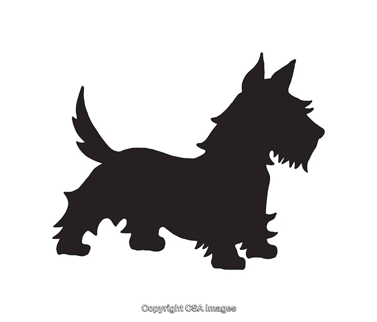 Silhouette of a Standing Scottish Terrier Dog in Black on White