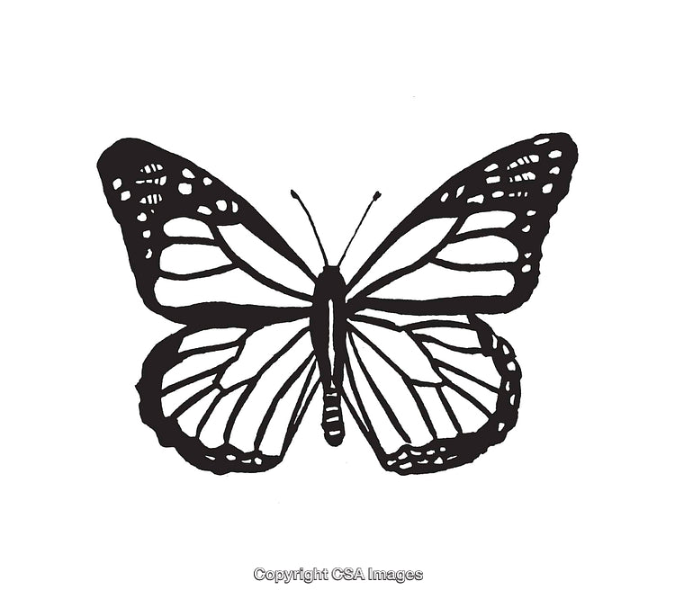 Black and White Butterfly Line Art Illustration With Intricate Wing Patterns