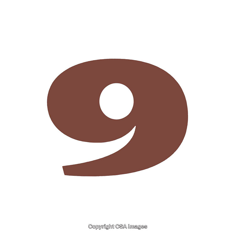 Bold Representation of the Number Nine in a Simple Design Style