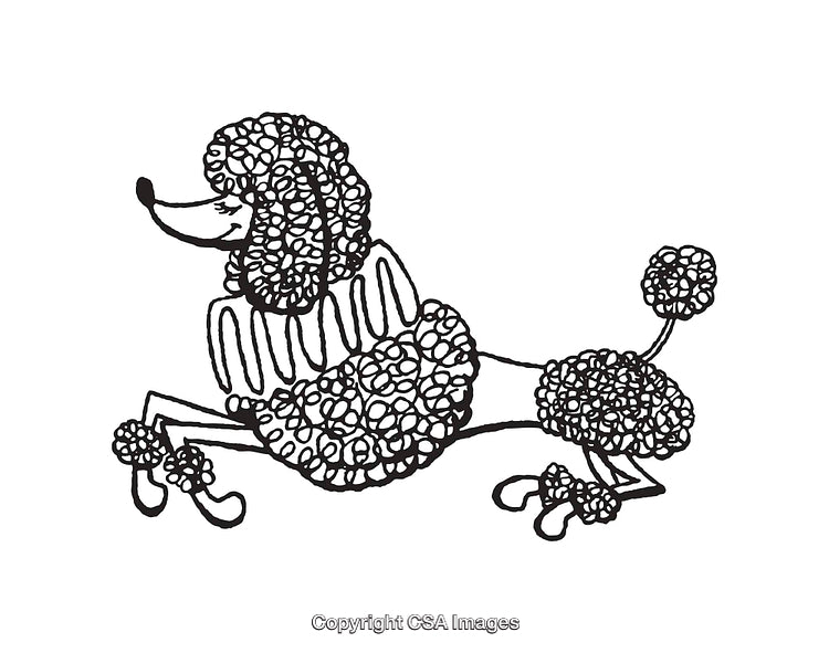 Elegant Poodle Line Art Illustration in Black and White Design