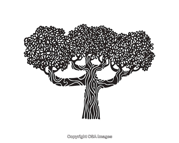 Intricate Black and White Tree Line Art Illustration