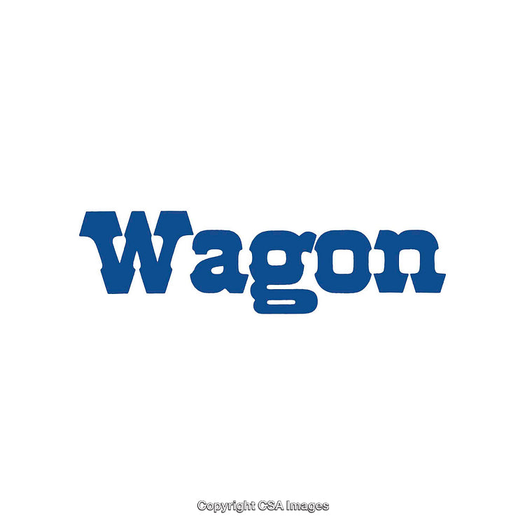 Word Graphic Depicting the Term Wagon in Bold Blue Typography