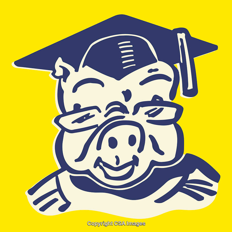 Cheerful Cartoon Pig in Graduation Cap Illustration on Yellow Background