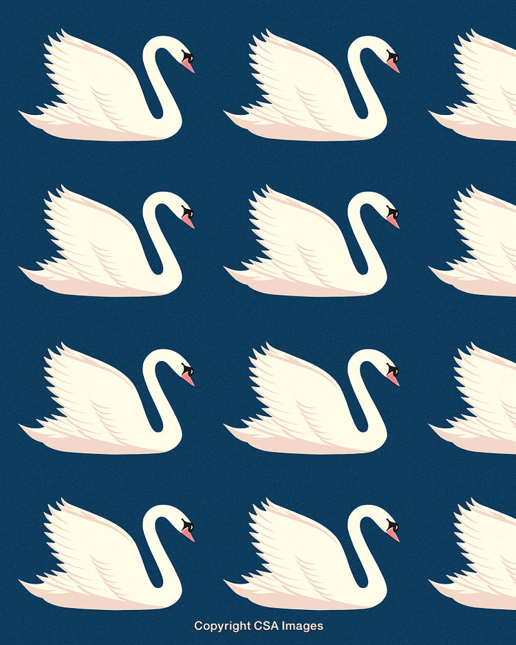 Pattern of Swans