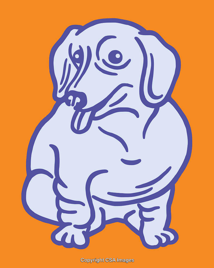 Cute and Colorful Dachshund Illustration on Vibrant Orange Background