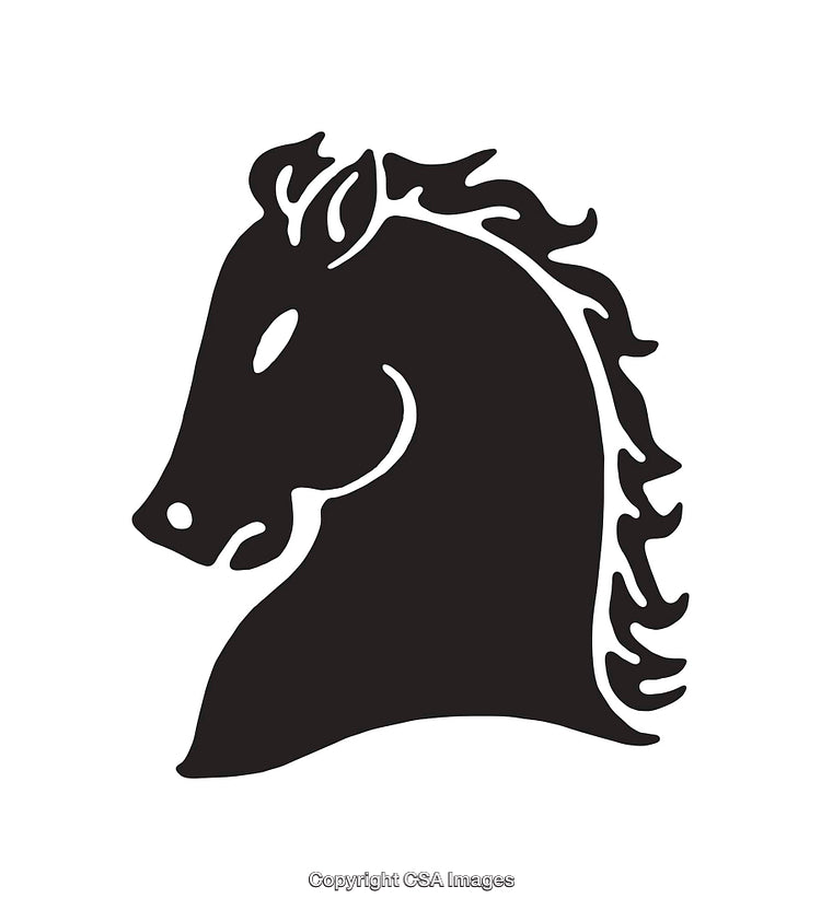 Stylized Black Horse Head in Black and White Line Art Style