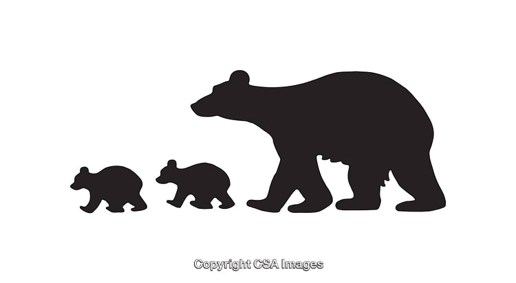Silhouette of a Bear Family in Black and White Illustration