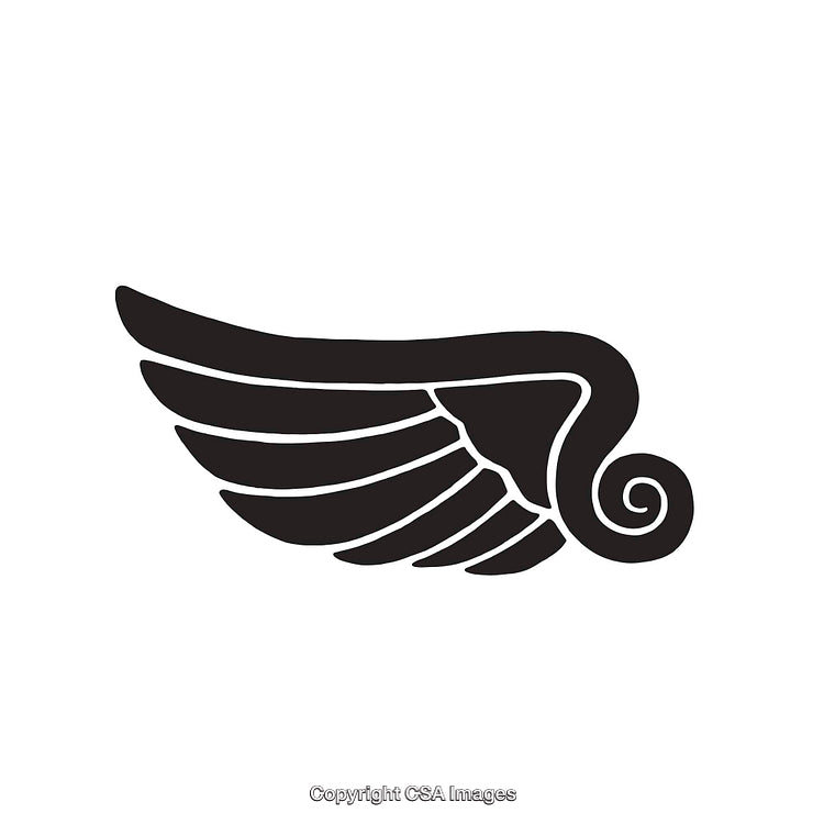 Abstract Line Art of a Wing with Elegant Curved Features
