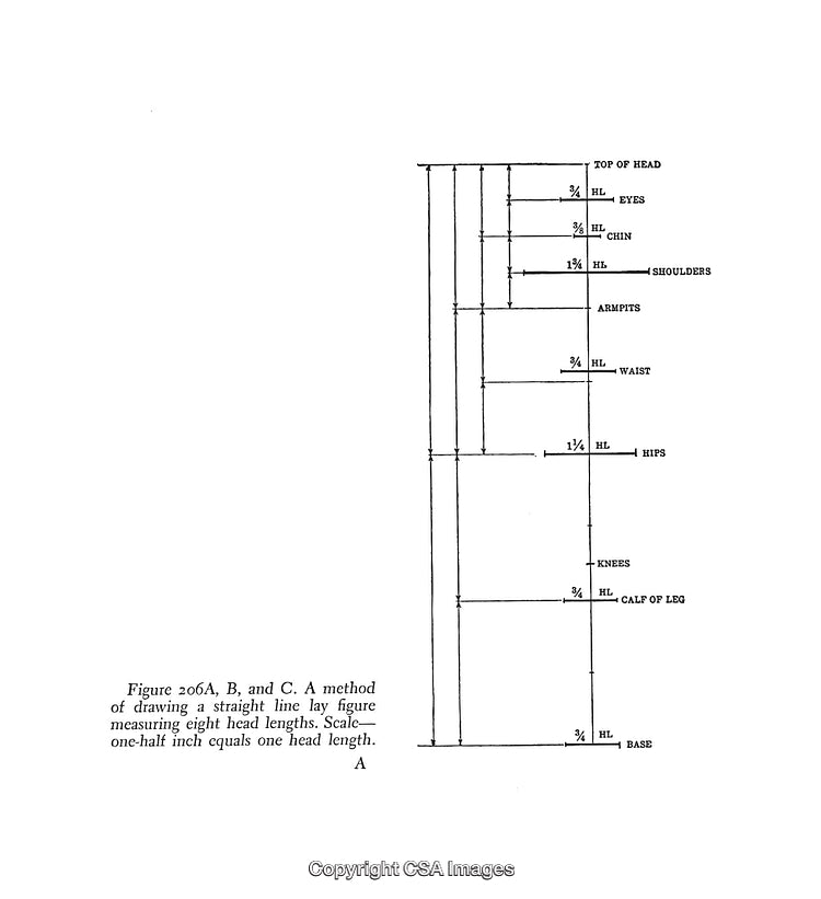 Black and White Diagram Illustrating Human Proportions for Artistic Reference