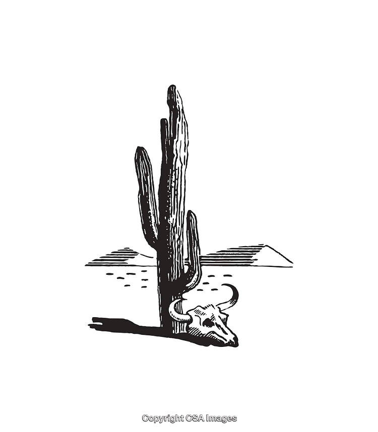 Black and White Line Art of a Cactus and Desert Skull Scene