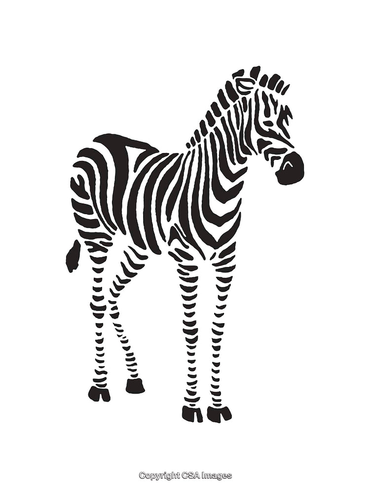 Black And White Illustration of a Zebra in Profile View