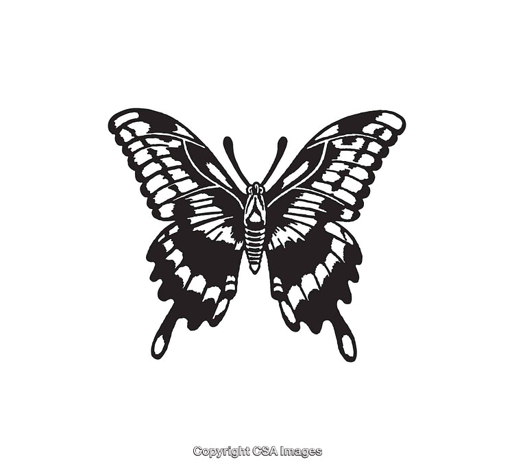 Black and White Line Art of a Butterfly with Intricate Details