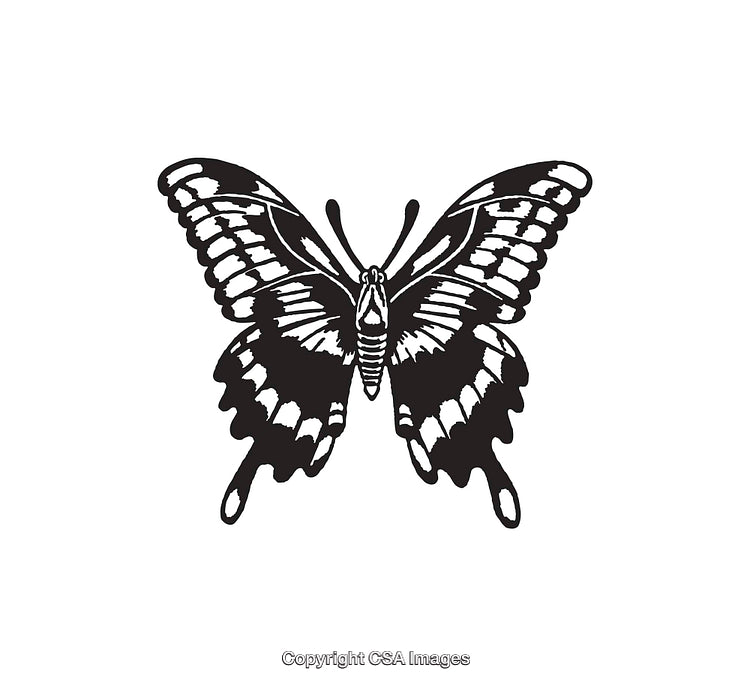 Black and White Line Art of a Butterfly with Intricate Details