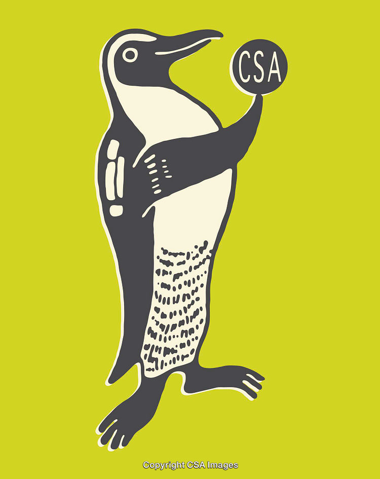 Illustrated Penguin Holding a Ball with CSA Letters on Bright Yellow