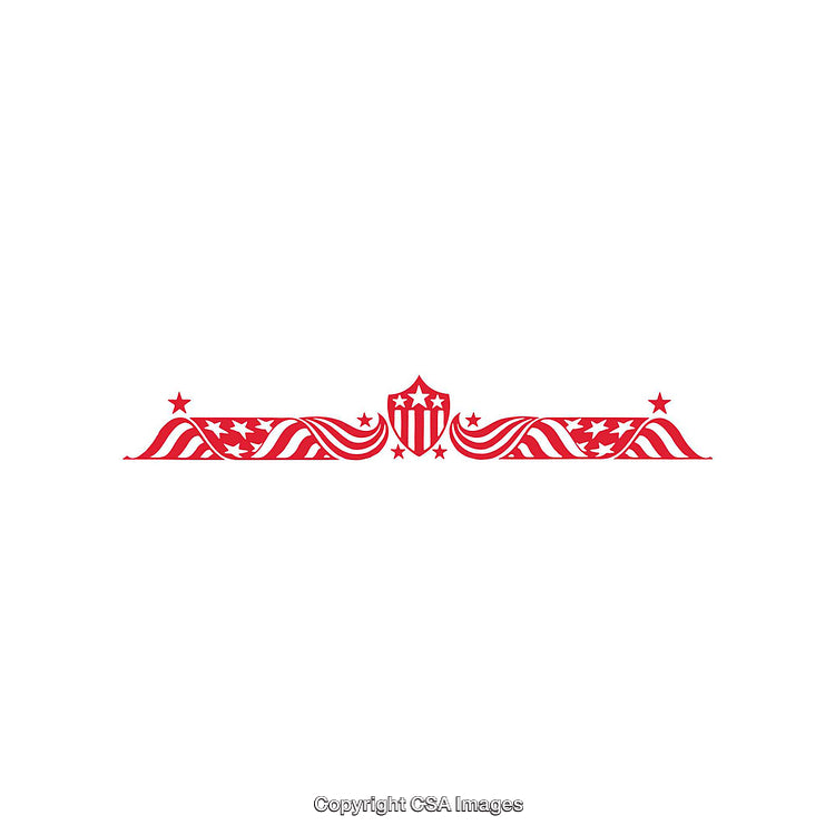 Decorative American Stars and Stripes Emblem with Shield and Wave Design