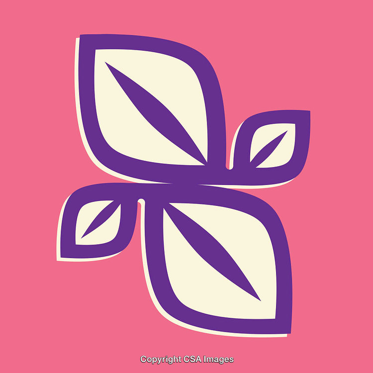 Abstract Purple Line Art Flower Design on Pink Backdrop