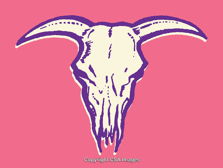 Colorful Goat Skull Drawing with Bold Lined Art on a Pink Background