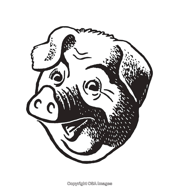 Vintage Black and White Illustration of a Smiling Pig's Head