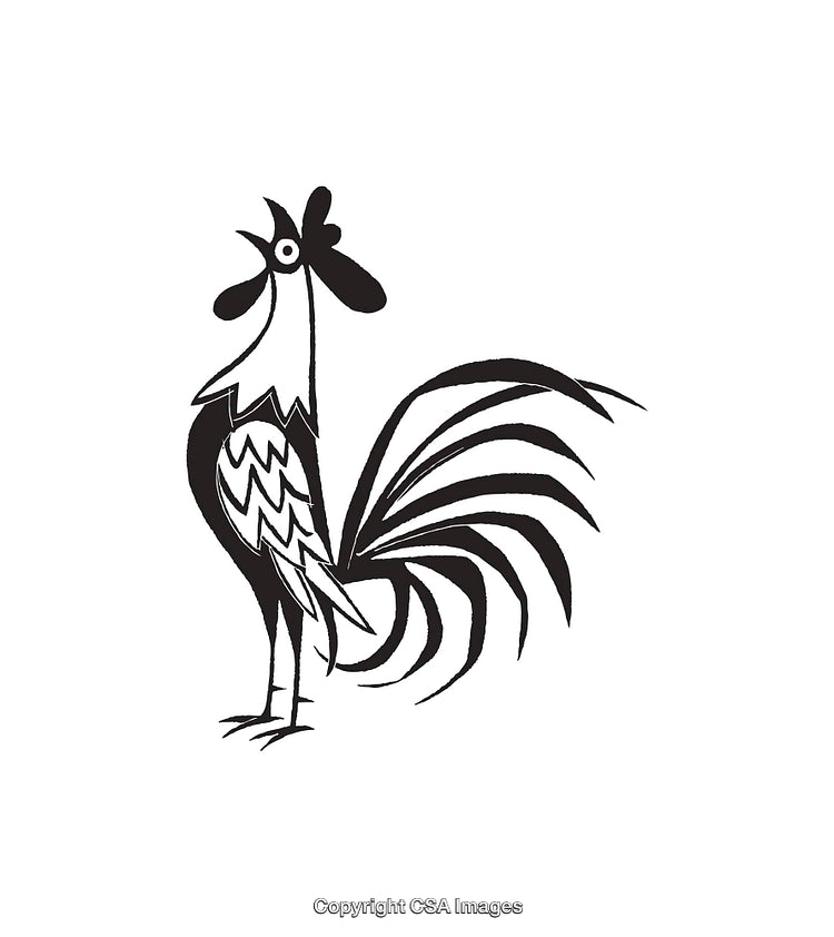 Black and White Line Art Illustration of a Crowing Rooster