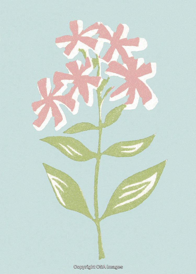 Abstract Hand-Drawn Pink Flowers Illustration with Blue Background