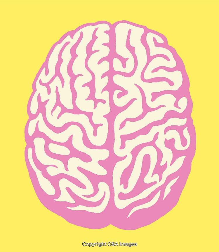 Pink Brain Illustration on Yellow Background, Colorful and Conceptual Design