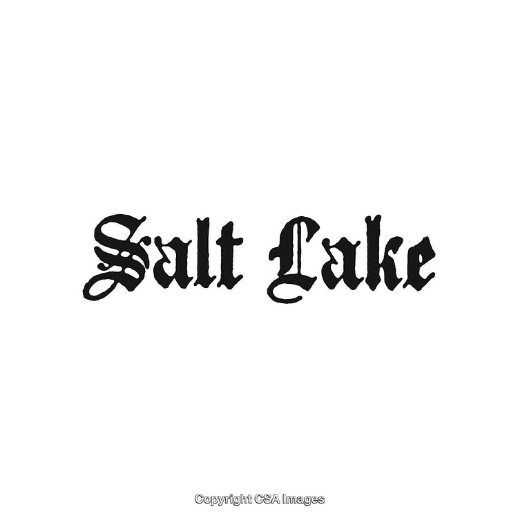 Decorative Typography Displaying Salt Lake in Bold Calligraphic Font Style