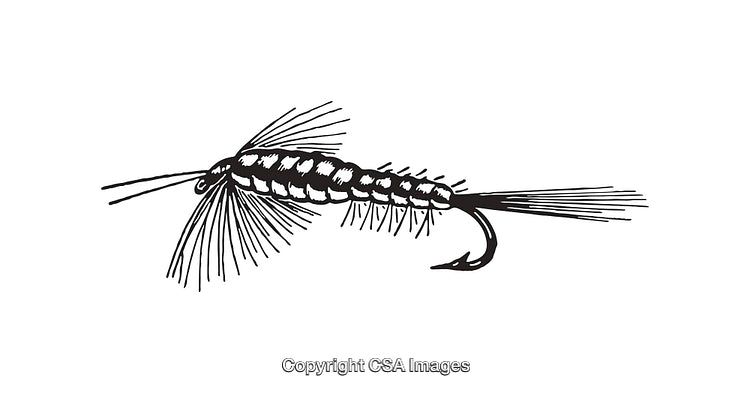 Black and White Line Art of a Fishing Fly Design