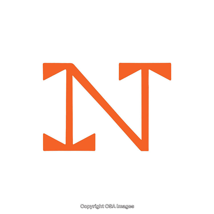 Stylized Orange Letter N on a White Background