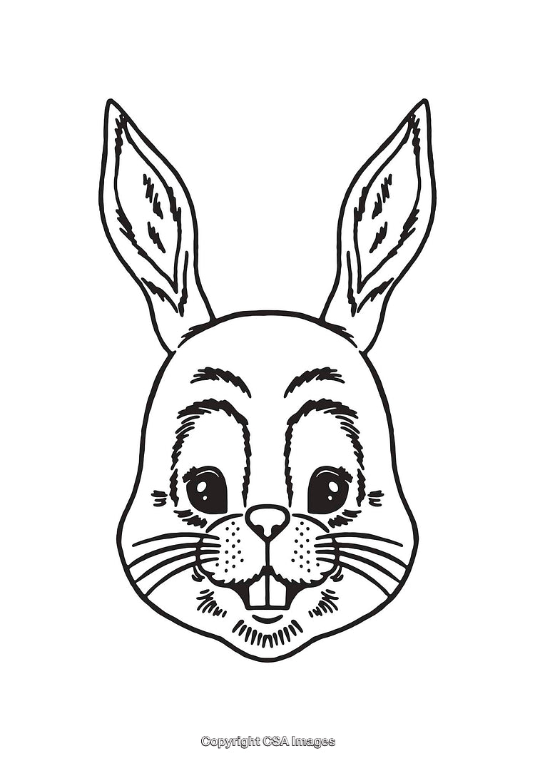 Black and White Line Art Illustration of a Cute Rabbit Head